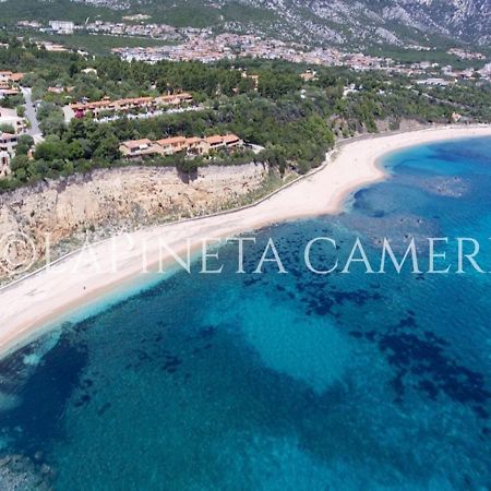Casa Vacanza Gelsomino Cala Gonone Exteriör bild