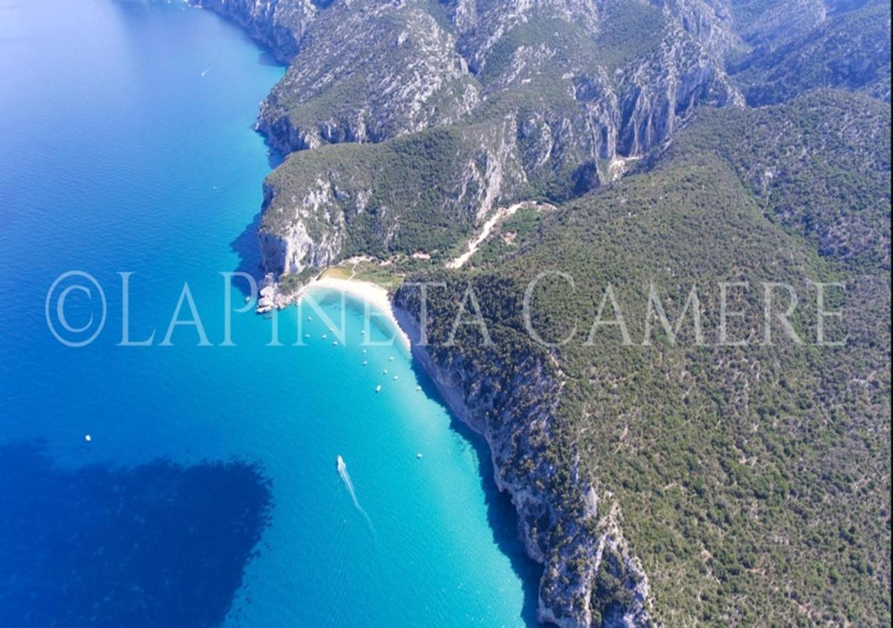 Casa Vacanza Gelsomino Cala Gonone Exteriör bild
